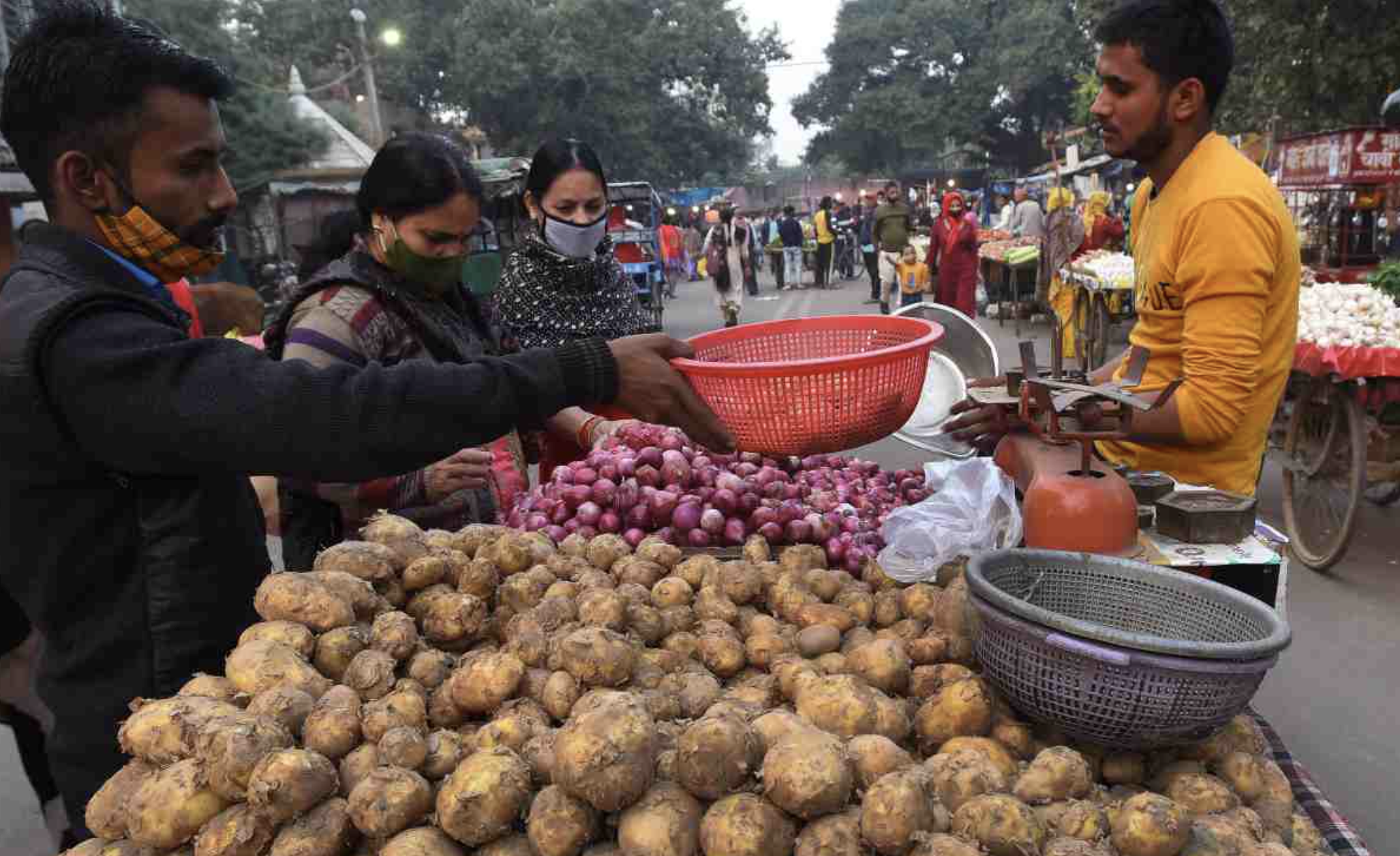 Potato Price At 4-Year High Across India; Carrots, Radish, Cauliflower, Cabbage All Expensive